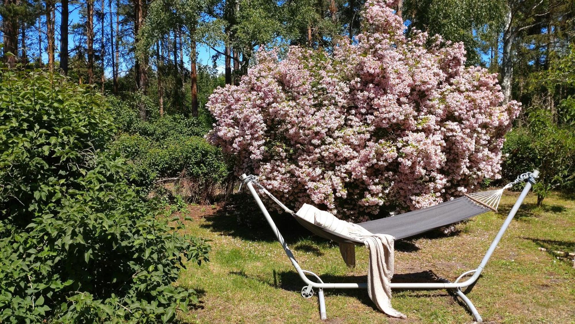 Oesterlencharm Löderup Eksteriør bilde